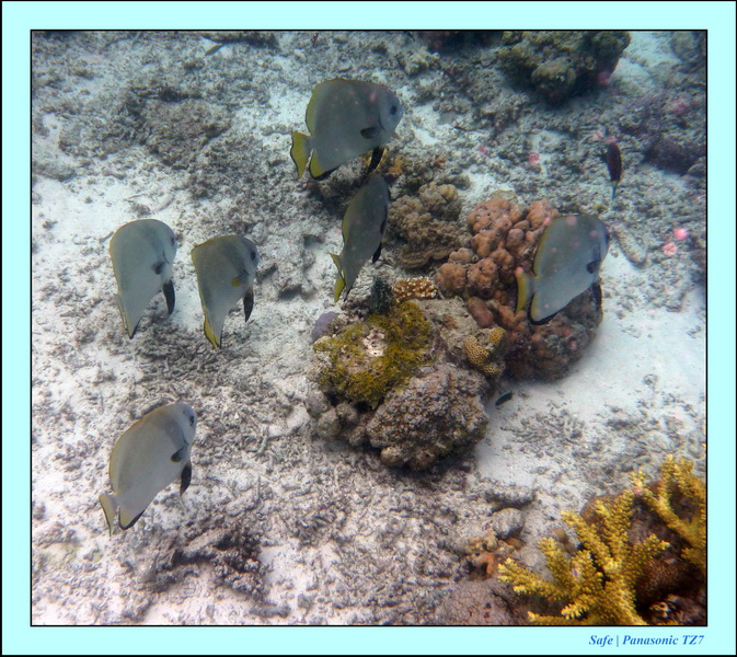 2009   07   Matakin 43